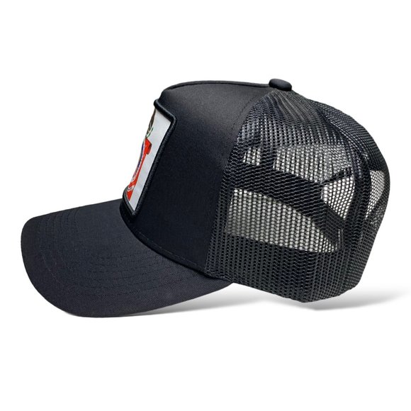 Gorra Bandera de Oaxaca México Bordada, Snapback, Negra, Visera Curva - Picture 7 of 10